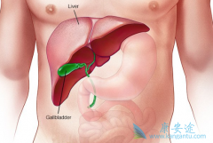 ���͸��ײ����������Ƿ��Ⱦ������û����ϵ��