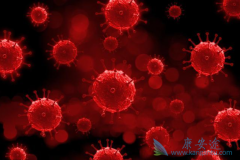 ������Щ���������ø�Ӳ������Ӧ��߾��裿