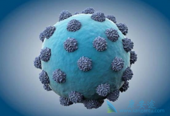 �ι����������Ҹβ���Я������Ҫ������������