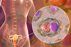 ���������κ��𣿹����������ܻ��ã�