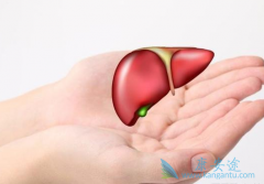 �ڱ��μ���з��ֱ��ο������Բ���һ���ǻ��ϱ���