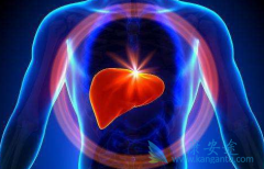 ���Ƹ�Ⱦ���β����Ļ���Ϊ��Ҫ��μ����ο��壿