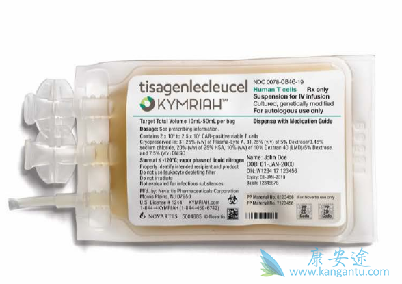 CAR-T疗法 CAR-T疗法
