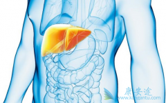 �Ҹβ���Я�����ճ����Ԥ���Ҹθ�Ӳ����