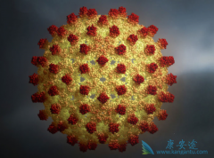 �Ҹλ������ڵ��Ҹβ���Ϊʲô�����������