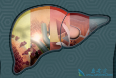 ���β���ת������Ҫ���ñ���Ԥ��������