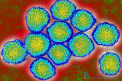 ���͸��ײ����������ܴ���ã����ε�Ǳ�����Ƕ೤ʱ�䣿