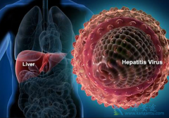 5�ֳ����ı��δ���;���ֱ�����Щ��