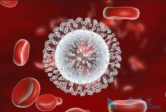 ��Ⱦ�ϱ��β���֮�����������Щ������