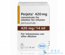 HER2�������ٰ�������ҩ������/�����鵥����ʽ�ڹ�������