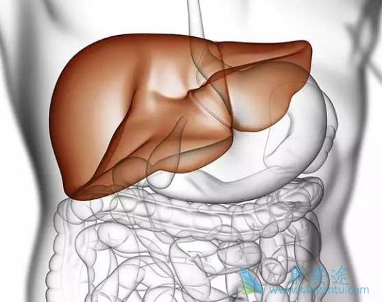 乙肝表面抗原定量 乙肝表面抗原定量