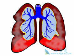 �����ζ�����ѹ��������Щ��