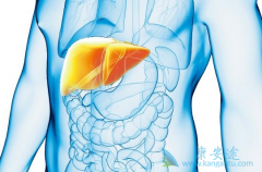 �����Ҹ�û�м�ʱ����һ�����ݱ��Ϊ�Ҹθ�Ӳ����