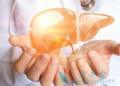 ������ŵ��Τ�����Ҹ�Ϊ��Ҫ���ڼ��Ѫ������