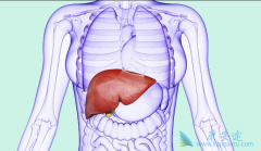 �ٴ��зǳ�������һ�ֱ���֢״���Ƿ���û�о���