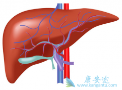 Ӧ�ü����ý���һ���Ҹ������飿