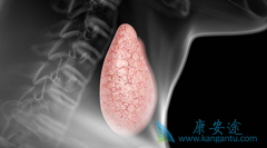 ��״���������״�ٰ����ٴ�����ν��м���