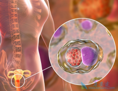 ���������κ���������ڷ��ֹ�������