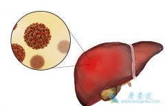 �Ҹ�С�����ʹ�����˭�����׶񻯳ɸΰ���