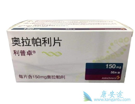 PARP抑制剂 PARP抑制剂