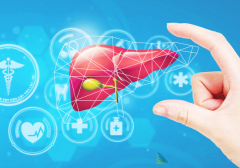 ���ο������������������͸��ײ�����