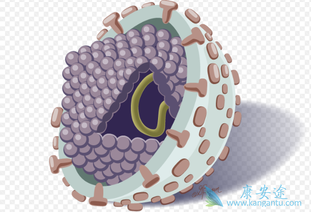 丙肝窗口期 丙肝窗口期