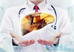 ������е����͸��׺��Ŀ������Ծ�����˵��ʲô�أ�