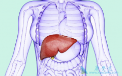 ���ο����κ��𣿲��������а���Σ����