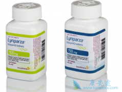 ��������(Lynparza)�ԱȻ���ҩ���������ٰ�����Ч��ô����