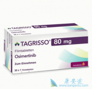 ����EGFR-TKIһ�����Ʒΰ����߷Ƿ�����ҩ��