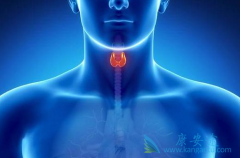 �����������Ƶļ�״�����ܻ����أ�