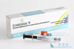 HPV�����еļ���ʲô��˼��HPV�������Ԥ����֢��