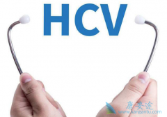 ���μ��������ο���������ʲô��˼��