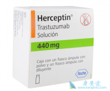 HER2�������ٰ����ߵ��¸������Ʒ�������Щ��