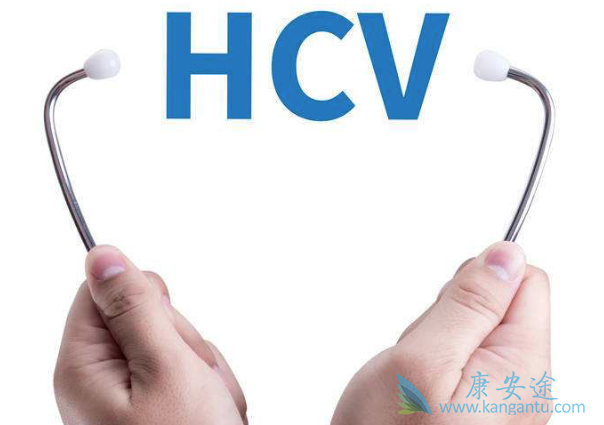丙肝抗体 丙肝抗体