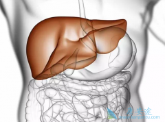 �Ҹα��濹ԭ�����������Ҹ���ʲô������