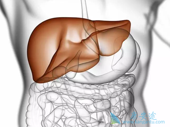 乙肝表面抗原定量 乙肝表面抗原定量