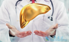 �Ҹδ���������������ô���ƺõĿ죿