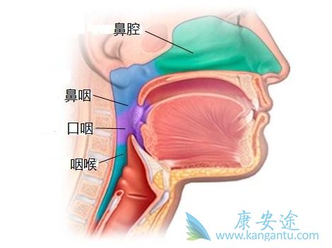 鼻咽癌能治好吗 鼻咽癌能治好吗