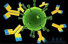 ���±��ο������Ե�ԭ��ͨ������Щ��