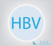 ��β�����ЧԤ���Ҹ����ƹ����е�HBV�ټ��