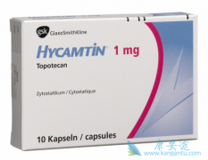 ���ڹ��������߿���ʹ��˳�����������濵����