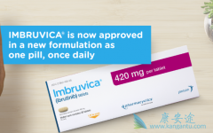 BTK���Ƽ���������(Ibrutinib)���Ժ�CAR-T�Ʒ�����������