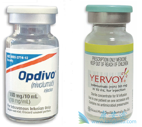 CTLA4抑制剂 CTLA4抑制剂