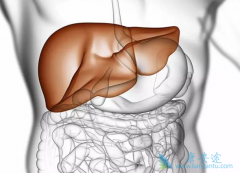 ��η�ֹ�Ҹβ���Я�������Ҹλ��߷�չ��