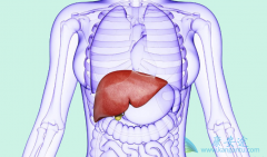 ����֢״��ʲô�������ϱ��β���������