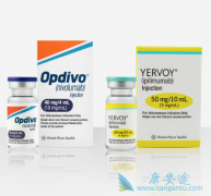 PD-1���Ƽ��ڸ�ϸ��������������Щǰ����