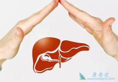 �Ҹα��濹�����Ժ��Ҹα��濹�����Էֱ����ʲô���壿