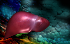 �Ҹ���ʲô�����Ҹ����κ���