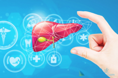 ���ο���������Ҫ���м�����������